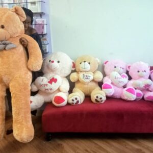 TEDDY BEAR