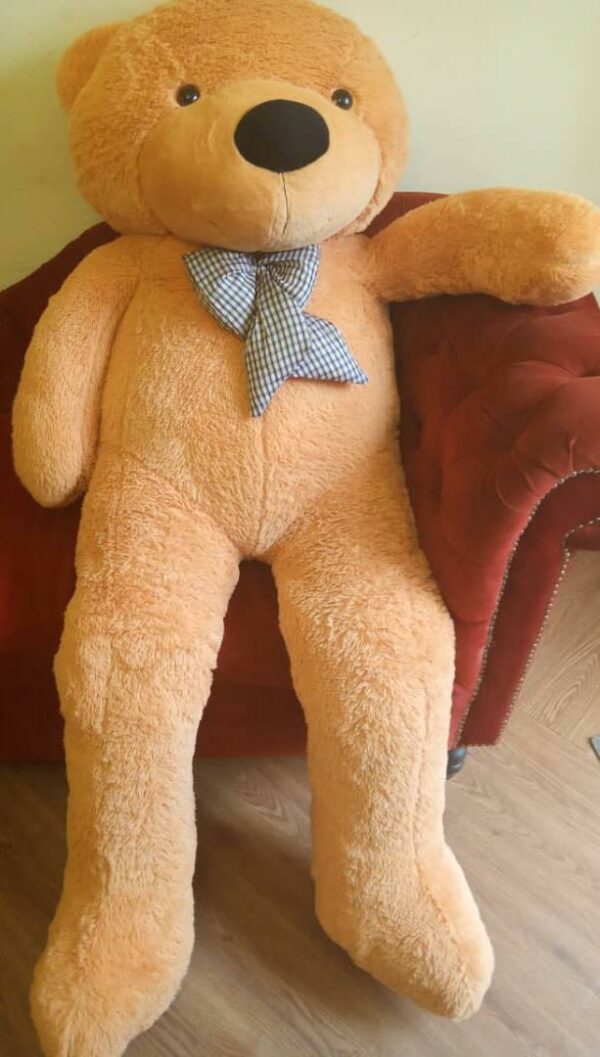 Life sized teddy bear