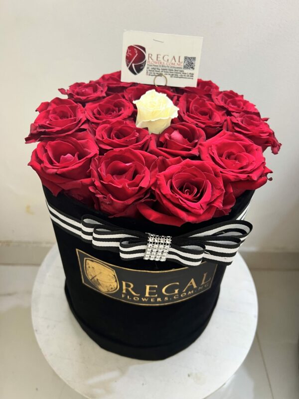 THE ONE BOX ARRANGEMENT- Contrasting Rose Colours - Image 5