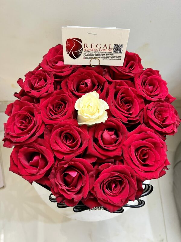 THE ONE BOX ARRANGEMENT- Contrasting Rose Colours - Image 3