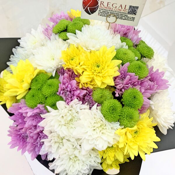 COOL AND CLASSIC - Mix of Chrysanthemums - Image 2