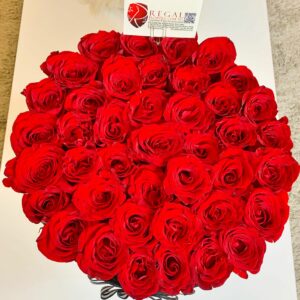 Classic Red Roses - Red Roses
