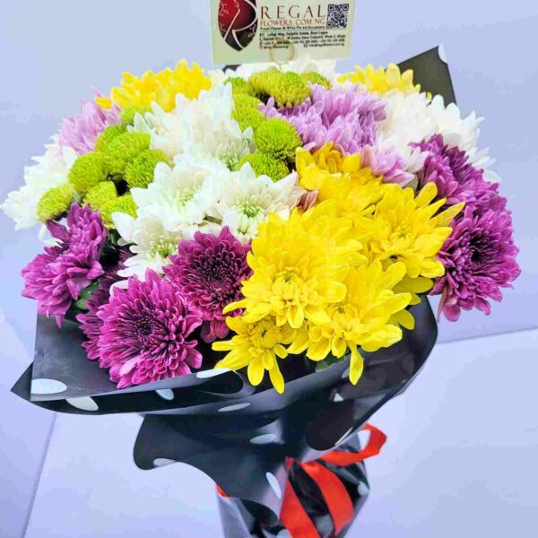 COOL AND CLASSIC - Mix of Chrysanthemums - Image 8