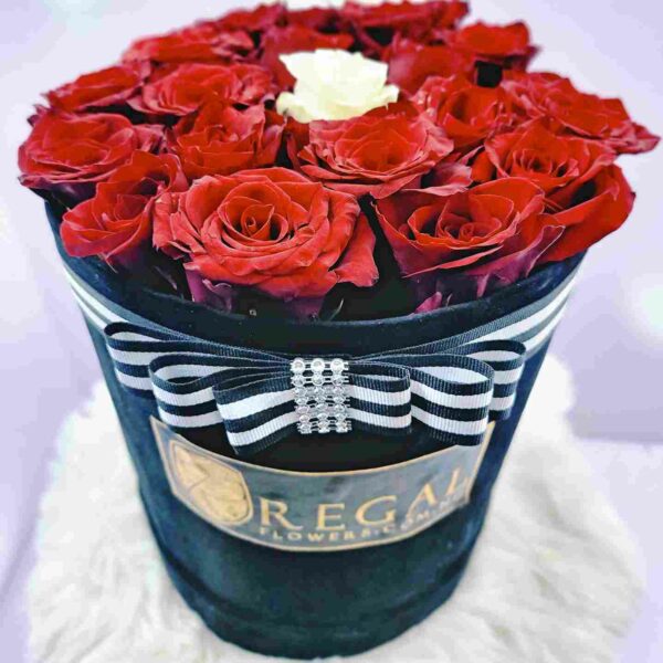THE ONE BOX ARRANGEMENT- Contrasting Rose Colours - Image 7