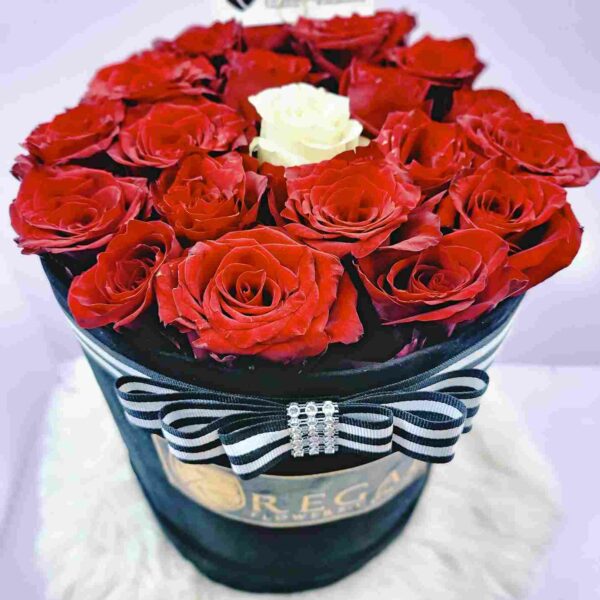 THE ONE BOX ARRANGEMENT- Contrasting Rose Colours - Image 8