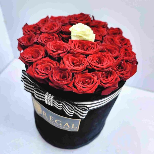 THE ONE BOX ARRANGEMENT- Contrasting Rose Colours - Image 9