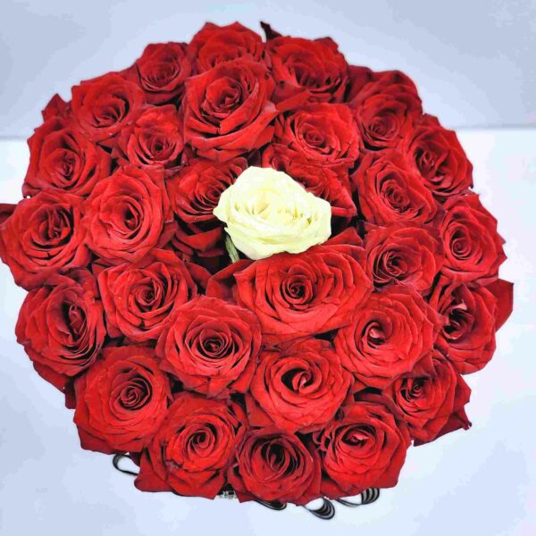 THE ONE BOX ARRANGEMENT- Contrasting Rose Colours - Image 13