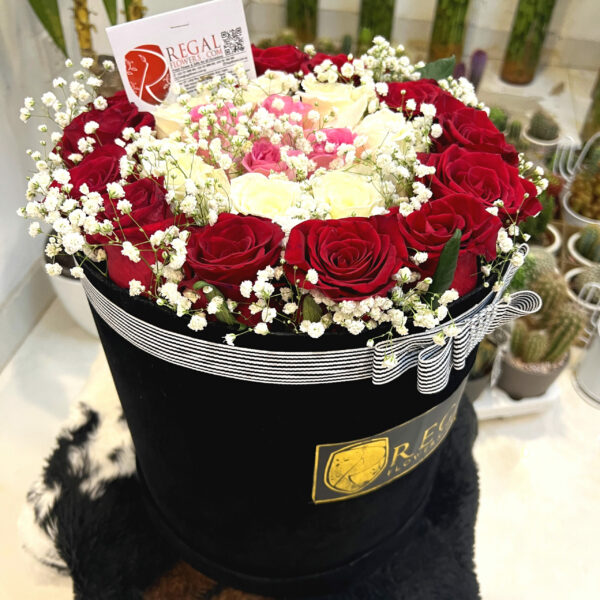 BELLEZA BOX ARRANGEMENTS– Mixed Roses & Million Stars